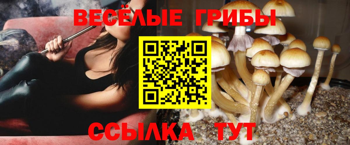 Псилоцибиновые грибы Magic Shrooms  Вход с VPN  Ревда  Псилоцибиновые грибы Magic Shrooms 