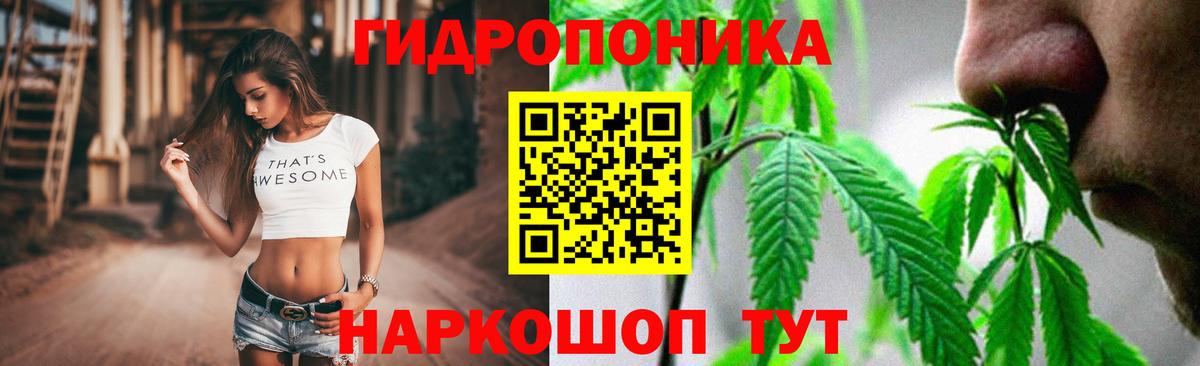 Ревда  Бошки марихуана индика  Вход с VPN  Марихуана индика 